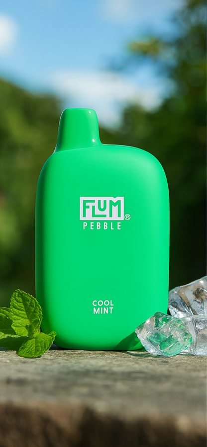 Flum Pebble 6000 Puffs Rechargeable Disposable Vape