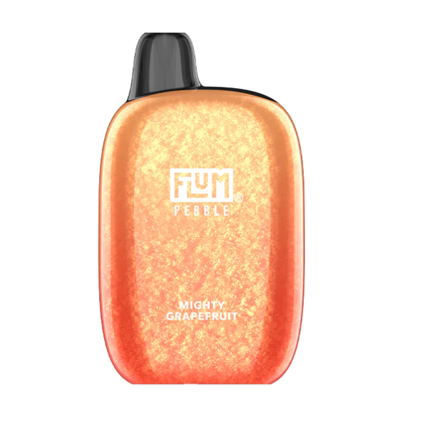 Flum Pebble 6000 Puffs Rechargeable Disposable Vape