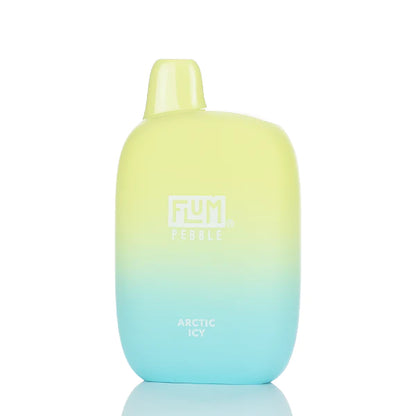 Flum Pebble 6000 Puffs Rechargeable Disposable Vape