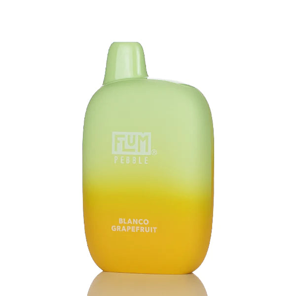 Flum Pebble 6000 Puffs Rechargeable Disposable Vape