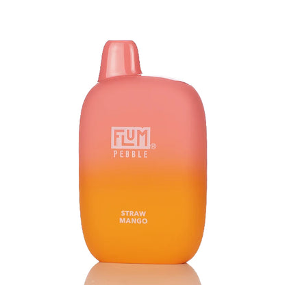 Flum Pebble 6000 Puffs Rechargeable Disposable Vape