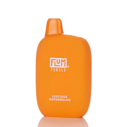 Flum Pebble 6000 Puffs Rechargeable Disposable Vape