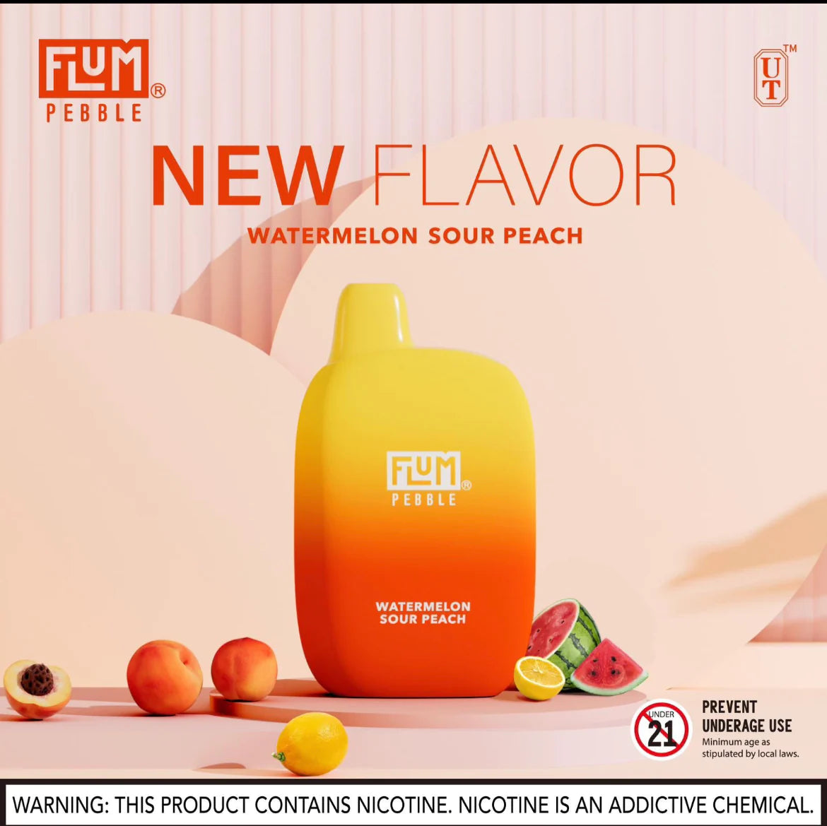 Flum Pebble 6000 Puffs Rechargeable Disposable Vape