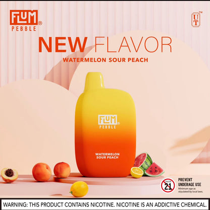 Flum Pebble 6000 Puffs Rechargeable Disposable Vape